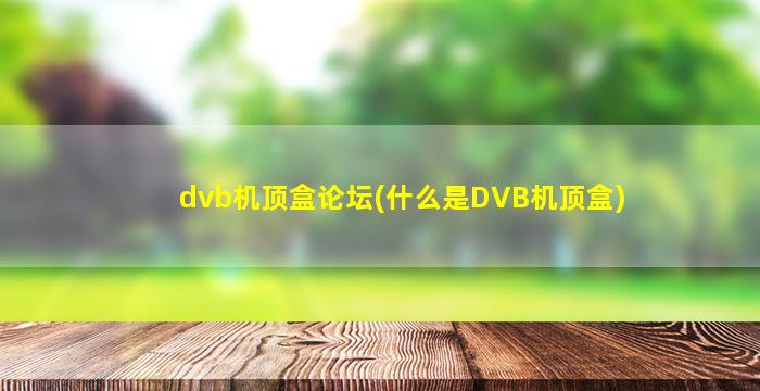 dvb机顶盒论坛(什么是DVB机顶盒)