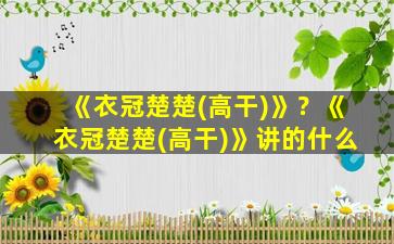 《衣冠楚楚(高干)》？《衣冠楚楚(高干)》讲的什么