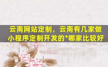 云南网站定制，云南有几家做小程序定制开发的*哪家比较好