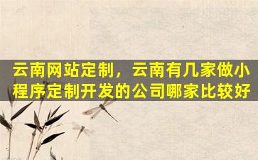 云南网站定制，云南有几家做小程序定制开发的*哪家比较好
