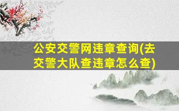 *交警网违章查询(去交警大队查违章怎么查)