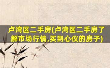 卢湾区二手房(卢湾区二手房了解市场行情,买到心仪的房子)