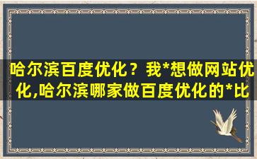 哈尔滨百度优化？我*想做网站优化,哈尔滨哪家做百度优化的*比较好