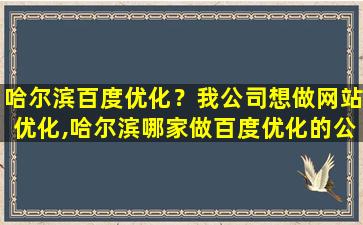 哈尔滨百度优化？我*想做网站优化,哈尔滨哪家做百度优化的*比较好
