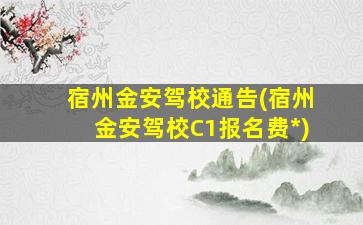 宿州金安驾校通告(宿州金安驾校C1报名费*)
