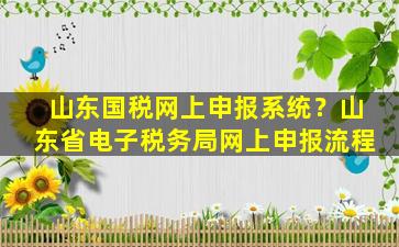 山东国税网上申报系统？山东省电子税务局网上申报流程