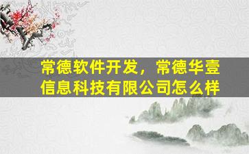 常德软件开发，常德华壹信息科技有限*怎么样