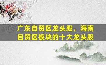 广东自贸区龙头股，海南自贸区板块的十大龙头股