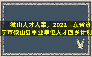 微山人才人事，2022山东省济宁市微山县事业单位人才回乡计划公告