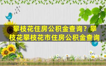 攀枝花住房公积金查询？攀枝花攀枝花市住房公积金查询