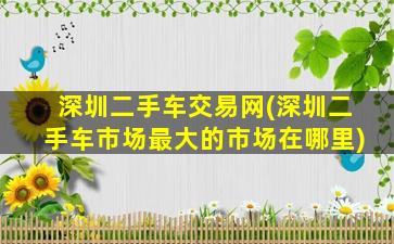 深圳二手车交易网(深圳二手车市场最大的市场在哪里)
