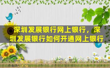 深圳发展银行网上银行，深圳发展银行如何开通网上银行