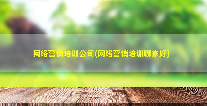 网络营销培训*(网络营销培训哪家好)